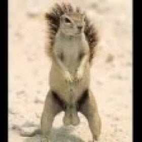 Biggnuttzzz's picture