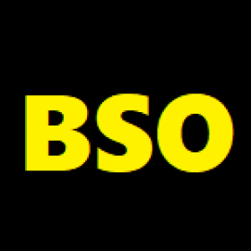 BSOstore's picture