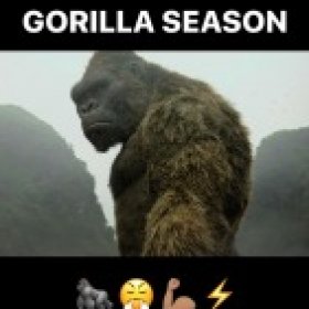 GorillaSeason1107's picture