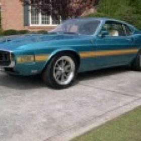American Muscle's picture