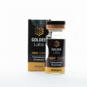 GoldenLabs's picture