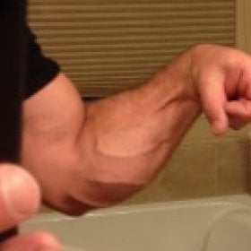 Toothlesslion's picture