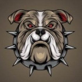 Bull_dog's picture