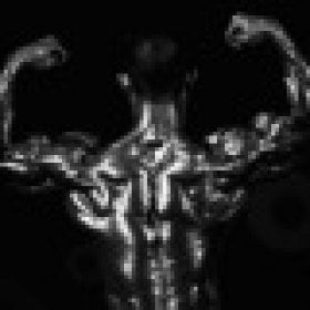 a4bodybuildersuk's picture