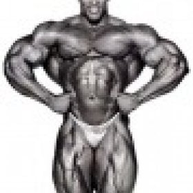 mr.newguy's picture