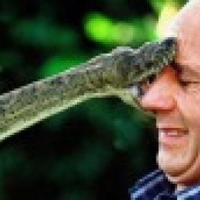 Jake The Snake's picture