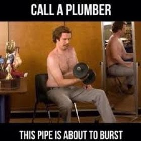 Mr.Muscles's picture