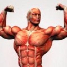 rxsteroids's picture