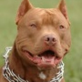 Marbull Head's picture