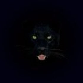 BlackPanther's picture