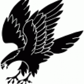 Falcon's picture