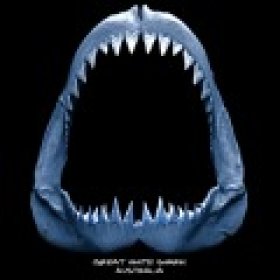 Megaladon's picture