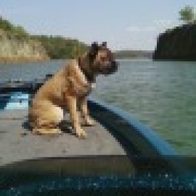 MTNBOY's picture