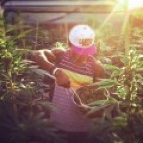 biggervin916's picture