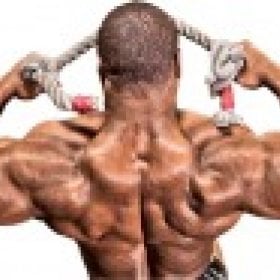 bigbudy's picture