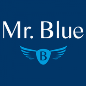 Mr Blue's picture