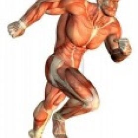 IronJoe's picture