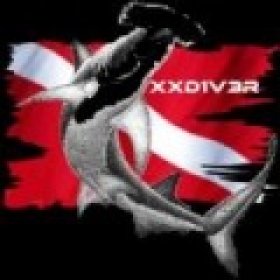 xxd1v3r's picture