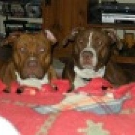 TrenHead_13-13's picture