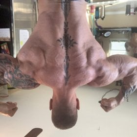 Kingofkarma's picture