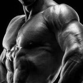 musclesFreak1's picture