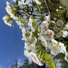 Natureday's picture