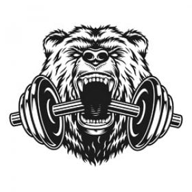 GorillaBear's picture