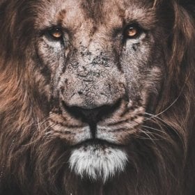 Fighterrj's picture
