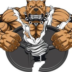 MuscleDog's picture
