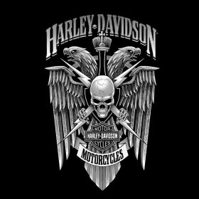 HarleyDavidsonMuscle's picture