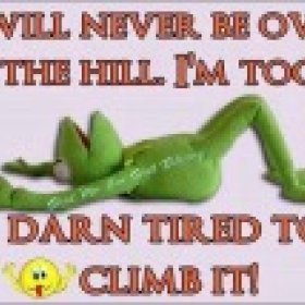willexcel's picture