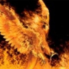 1from the ashes's picture