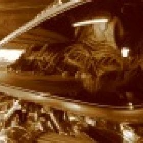 spikezilla's picture