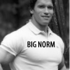 BIG NORM's picture