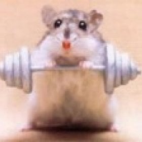 Thegymrat's picture