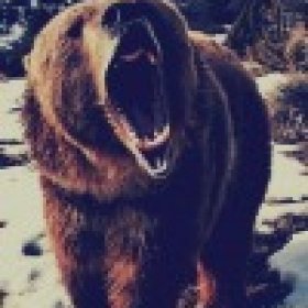 bighungry34's picture