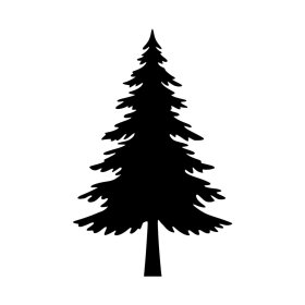 PineTree's picture