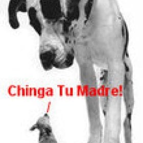 Chidoman's picture