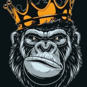 TrenGorilla's picture