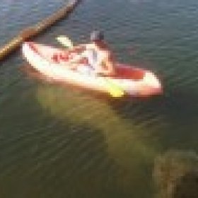 stormcloud82's picture