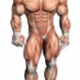 Erik Gearhead's picture