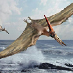 Terephthalic Pterodactyl's picture