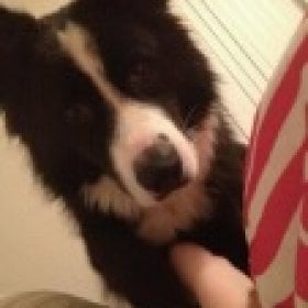 Badgoat1's picture