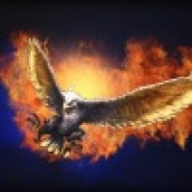 win3200's picture