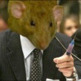 fancypants's picture
