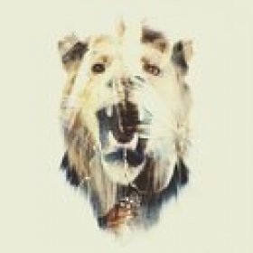 battlekat's picture