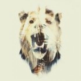 battlekat's picture