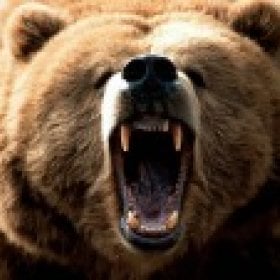 Grizzlybear's picture