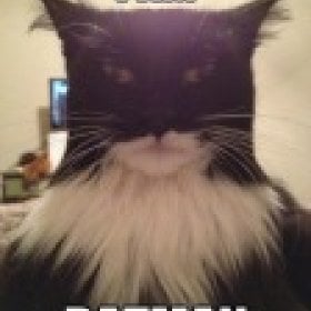 Iliketestosterone's picture
