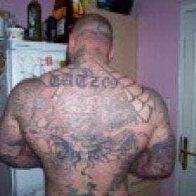 raging pitbull's picture